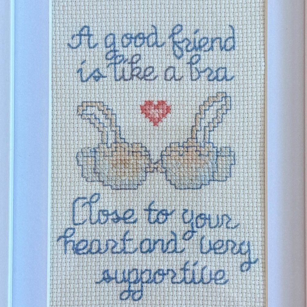 Framed Needlepoint Art Cottagecore Humour - A Good Friend Is Like a Bra - Picture 2 of 7